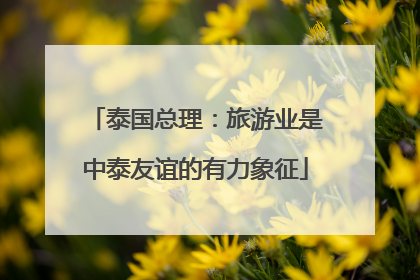 泰国总理：旅游业是中泰友谊的有力象征
