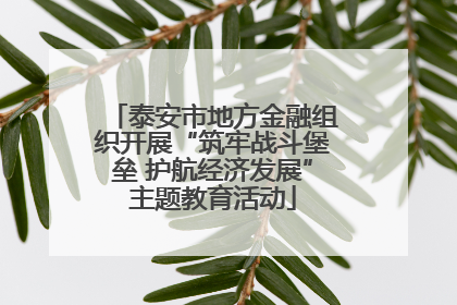 泰安市地方金融组织开展“筑牢战斗堡垒 护航经济发展”主题教育活动
