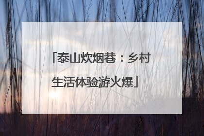 泰山炊烟巷：乡村生活体验游火爆