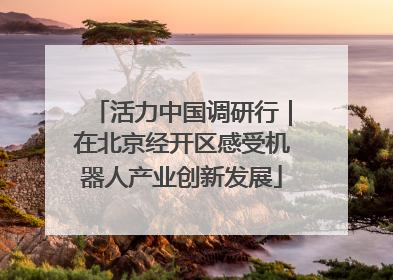 活力中国调研行｜在北京经开区感受机器人产业创新发展