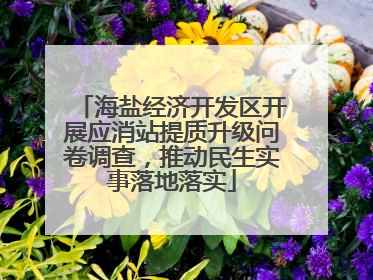 海盐经济开发区开展应消站提质升级问卷调查，推动民生实事落地落实