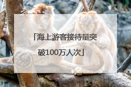 海上游客接待量突破100万人次