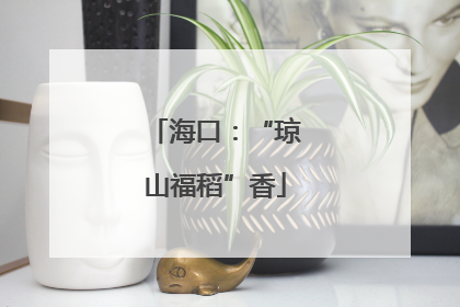 海口：“琼山福稻”香
