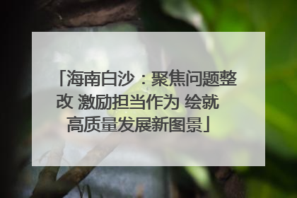 海南白沙：聚焦问题整改 激励担当作为 绘就高质量发展新图景