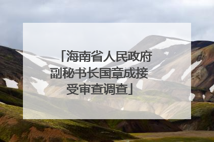 海南省人民政府副秘书长国章成接受审查调查