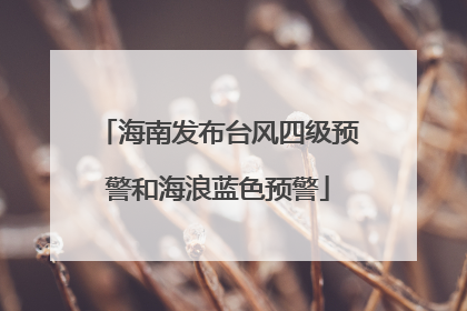 海南发布台风四级预警和海浪蓝色预警