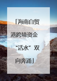 海南自贸港跨境资金“活水”双向奔涌