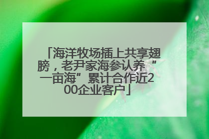 海洋牧场插上共享翅膀，老尹家海参认养“一亩海”累计合作近200企业客户