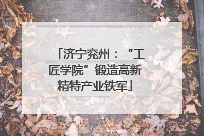济宁兖州：“工匠学院”锻造高新精特产业铁军