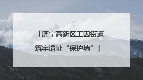 济宁高新区王因街道筑牢遗址“保护墙”