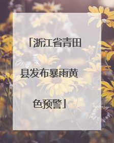 浙江省青田县发布暴雨黄色预警