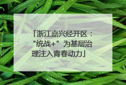 浙江嘉兴经开区：“统战+”为基层治理注入青春动力