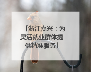 浙江嘉兴：为灵活就业群体提供精准服务