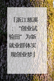 浙江慈溪：“创业试验田”为新就业群体实现创业梦