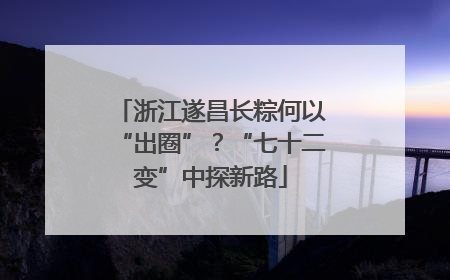浙江遂昌长粽何以“出圈”？“七十二变”中探新路