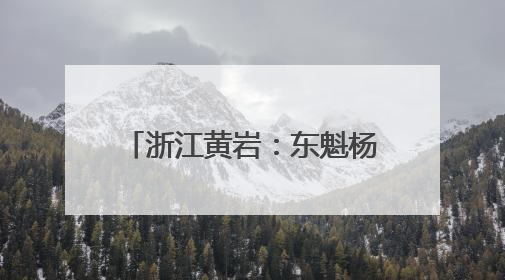 浙江黄岩：东魁杨梅进入集中采摘期
