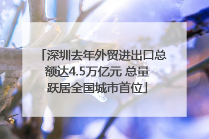深圳去年外贸进出口总额达4.5万亿元 总量跃居全国城市首位
