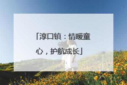 淳口镇：情暖童心，护航成长