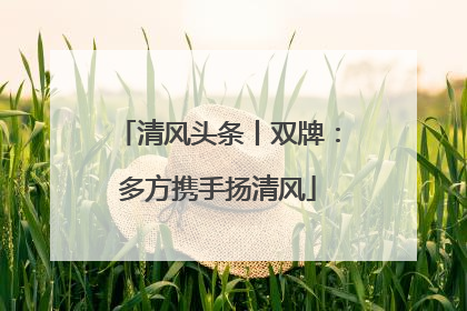 清风头条丨双牌：多方携手扬清风