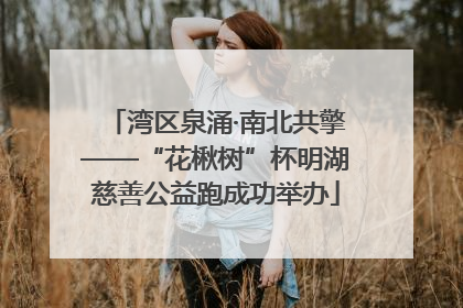 湾区泉涌·南北共擎——“花楸树”杯明湖慈善公益跑成功举办
