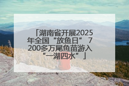 湖南省开展2025年全国“放鱼日” 7200多万尾鱼苗游入“一湖四水”