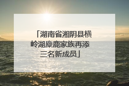 湖南省湘阴县横岭湖麋鹿家族再添三名新成员
