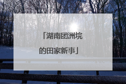 湖南团洲垸的田家新事
