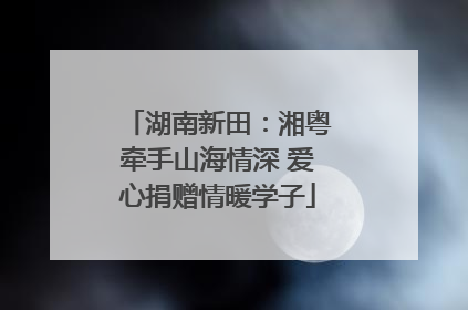 湖南新田：湘粤牵手山海情深 爱心捐赠情暖学子