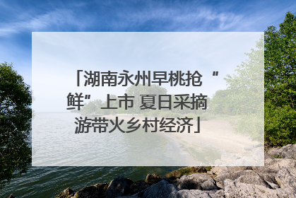 湖南永州早桃抢“鲜”上市 夏日采摘游带火乡村经济
