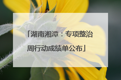湖南湘潭：专项整治周行动成绩单公布