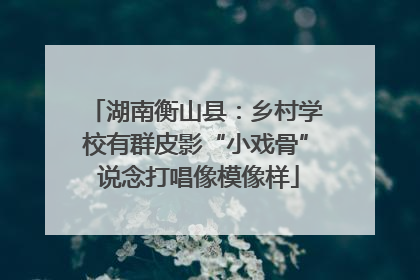 湖南衡山县：乡村学校有群皮影“小戏骨” 说念打唱像模像样
