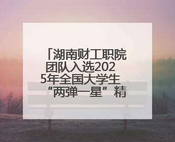 湖南财工职院团队入选2025年全国大学生“两弹一星”精神志愿宣讲团