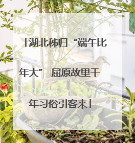 湖北秭归“端午比年大” 屈原故里千年习俗引客来