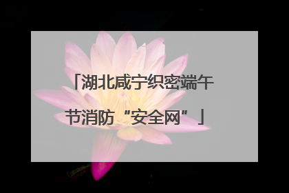 湖北咸宁织密端午节消防“安全网”