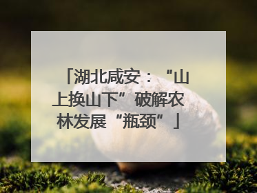 湖北咸安：“山上换山下”破解农林发展“瓶颈”