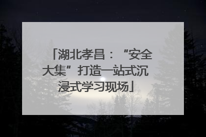 湖北孝昌：“安全大集”打造一站式沉浸式学习现场