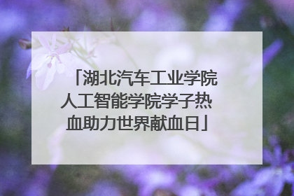 湖北汽车工业学院人工智能学院学子热血助力世界献血日