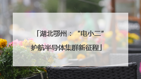 湖北鄂州：“电小二”护航半导体集群新征程