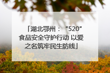 湖北鄂州：“520”食品安全守护行动 以爱之名筑牢民生防线