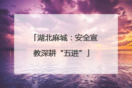 湖北麻城：安全宣教深耕“五进”