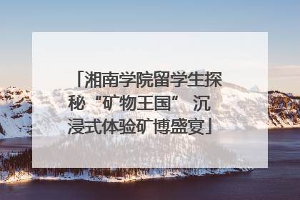 湘南学院留学生探秘“矿物王国” 沉浸式体验矿博盛宴