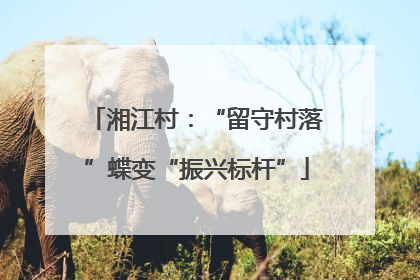 湘江村：“留守村落”蝶变“振兴标杆”