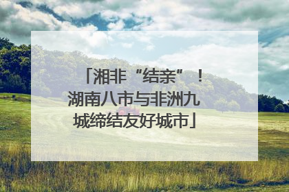 湘非“结亲”！湖南八市与非洲九城缔结友好城市