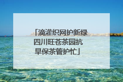 滴灌织网护新绿 四川旺苍茶园抗旱保茶管护忙