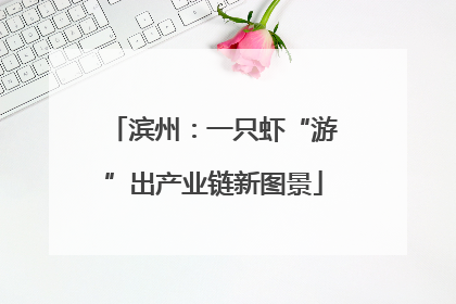 滨州：一只虾“游”出产业链新图景