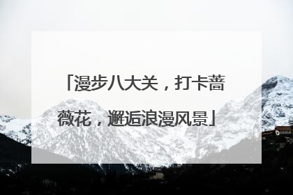 漫步八大关，打卡蔷薇花，邂逅浪漫风景