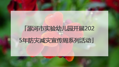 漯河市实验幼儿园开展2025年防灾减灾宣传周系列活动