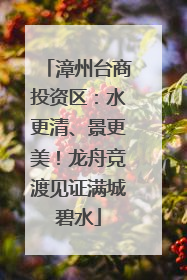 漳州台商投资区：水更清、景更美！龙舟竞渡见证满城碧水