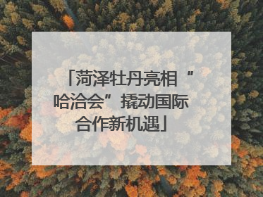 菏泽牡丹亮相“哈洽会”撬动国际合作新机遇