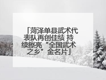 菏泽单县武术代表队再创佳绩 持续擦亮“全国武术之乡”金名片